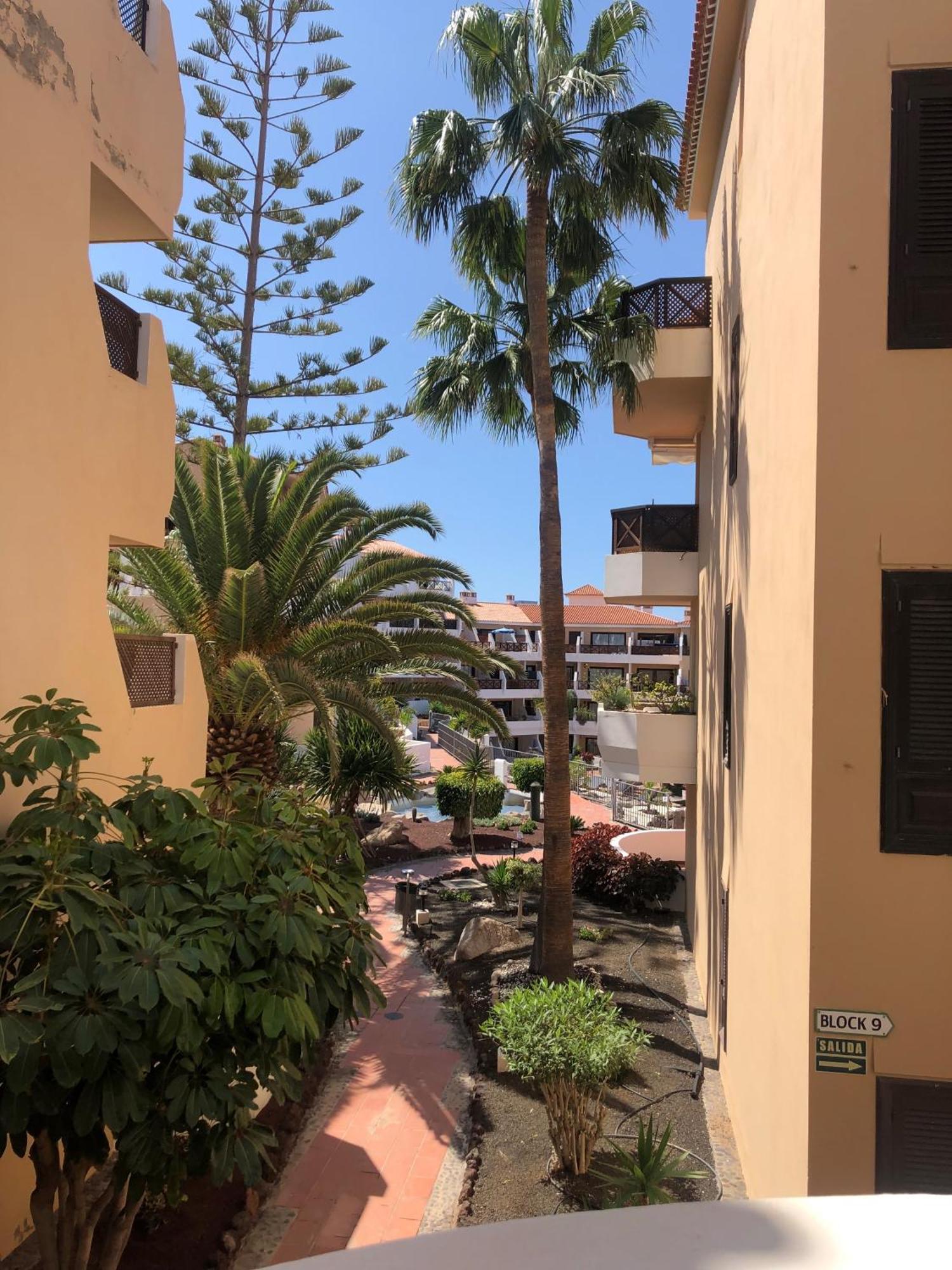 Apartamento Albatros Golf Del Sur Apt 257 Σαν Μιγκέλ ντε Αμπόνα Εξωτερικό φωτογραφία